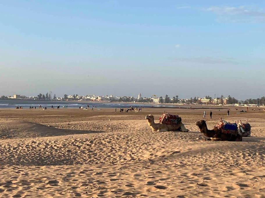 Dar Aya Essaouira Apartman Kültér fotó