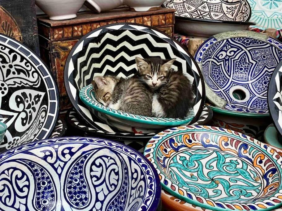 Dar Aya Essaouira Apartman Kültér fotó